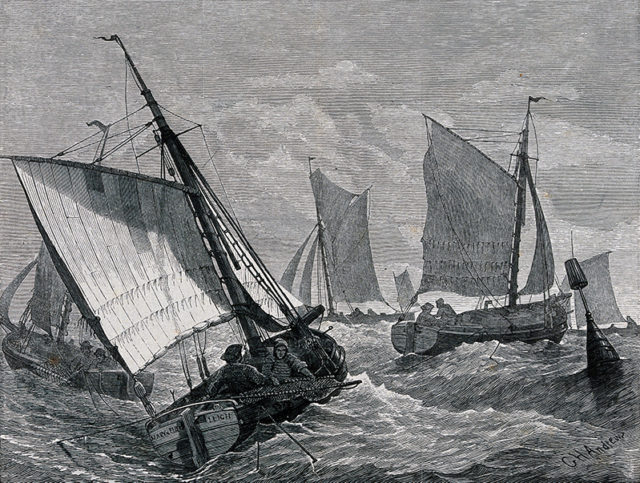 Hannah Lowe, writer, author, poet, academic, mentor, UK, The Woman in the Chinese Collar, Old Friends, Rock, Bird, Butterfly, The Kids